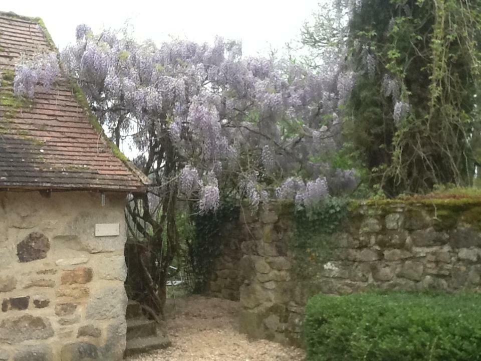 Domaine De Sautou Hotel Castanet  Esterno foto